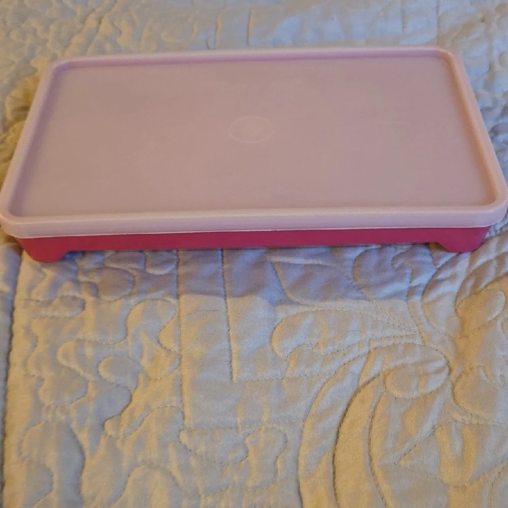 Tupperware Hotdog, Bacon, And Deli Meat Keeper